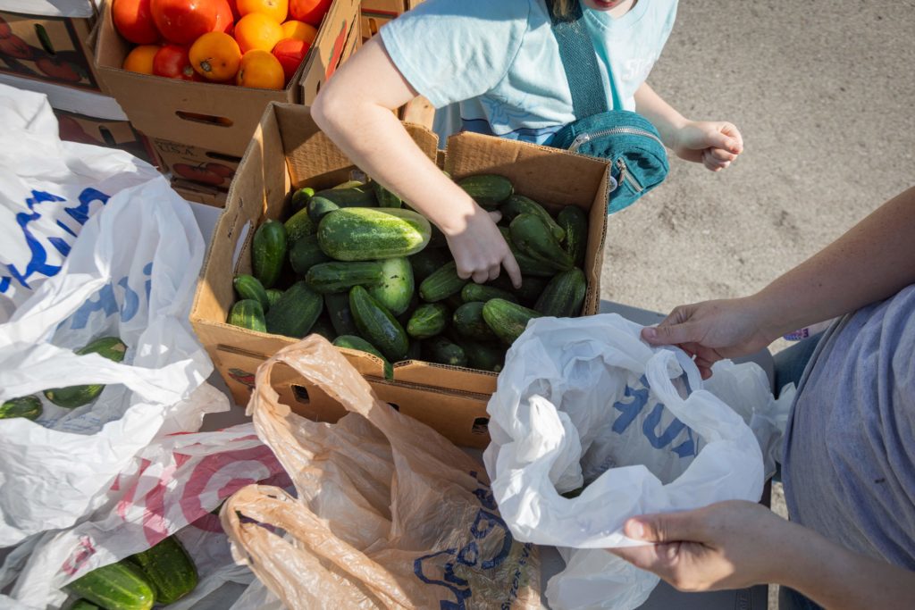 A person is selecting cucumbers from a box at a market, with various other fresh produce around and a bag labeled 