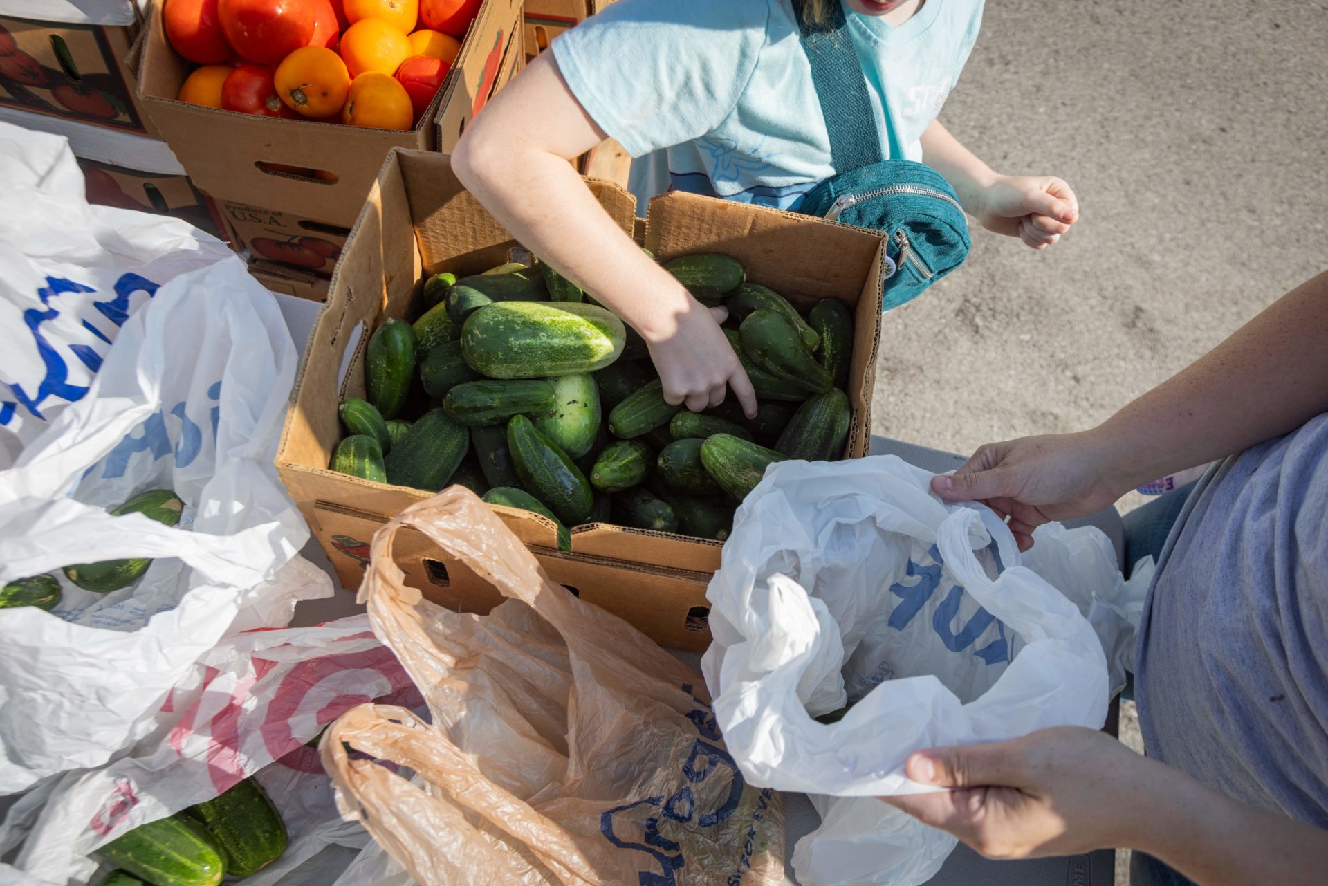 A person is selecting cucumbers from a box at a market, with various other fresh produce around and a bag labeled 